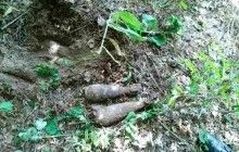 Пиротехники уничтожили 4 боеприпаса времен прошлых войн, найденные в Радомышльском районе (фото)