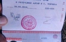 Идентифицированы боевики и военные РФ, плененные и уничтоженные под Желобком (фото)