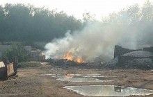 Сморід та щурі: на Львівщині на території підприємства просто неба гниють трупи тварин (фото)