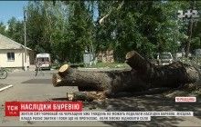 На Черкащине уже неделю не могут преодолеть последствия страшного урагана (видео)