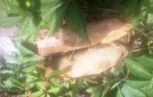 На Житомирщині знищили 5 боєприпасів часів минулих війн