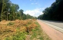 В августе определят подрядчика, который осуществит строительство Северного обхода Житомира