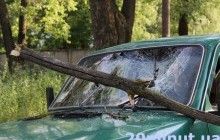 У Тернополі під час негоди дерево впало на автомобіль та травмувало водія (фото)