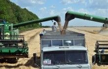 В Україні вперше провели торги ф'ючерсами на зернові