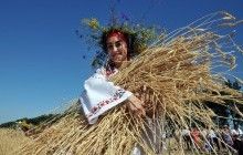 В Украине закончились весенние полевые работы: сколько и чего засеяли