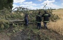 Из-за непогоды в Украине обесточены 88 населенных пунктов - ГСЧС