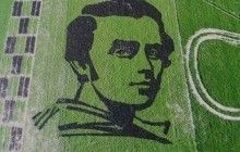Украинские ученые вырастили рисовый портрет Тараса Шевченко, который видно из космоса