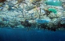 В Тихом океане обнаружено еще одно гигантское скопление пластика