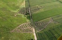 "Необычная граница": в ГПСУ показали снимки "гигантских рыб" на поле между Польшей и Украиной (фото)