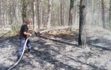 В Олешковском районе Херсонской области горит лес на площади около 5 га