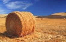На Тернопільщині внаслідок пожежі згоріло 20 тюків соломи