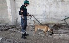 В Украине волна сообщений о минировании госучреждений и учебных заведений