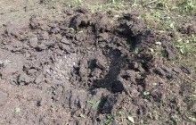 В ИС сообщили подробности атаки боевиков под Красногоровкой