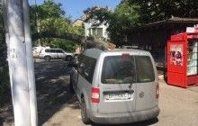В центрі Одеси дерево впало на автомобіль, в якому перебувала дитина (фото)