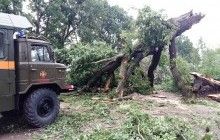 Через негоду в Україні 109 населених пунктів залишилися без світла - ДСНС