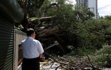 Мощный тайфун обрушился на Тайвань, пострадали более 80 человек (фоторепортаж)
