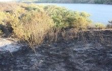 Спасатели ликвидировали пожар площадью 2 га на острове Хортица в Запорожье (фото)