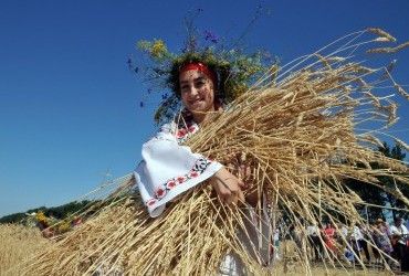 Посівна під час війни: погодні умови сприяють врожаю в Україні - Мінагрополітики