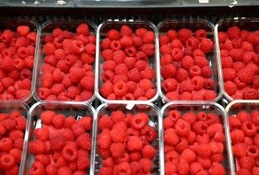 Експерти назвали переваги вживання малини