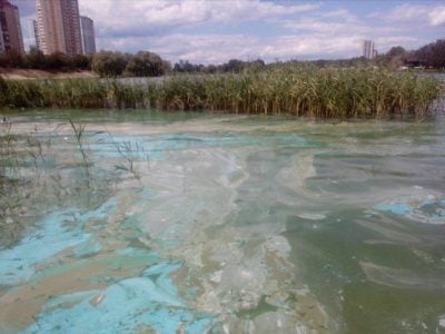 Don't Drink the Water  In Lake Erie