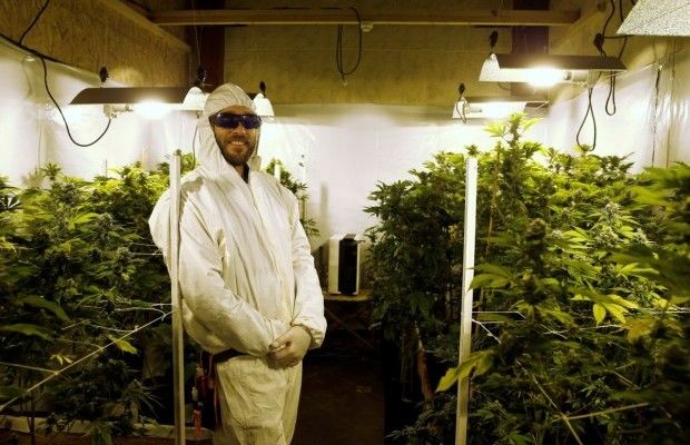 Для порятунку економіки: прем'єр Північної Македонії запропонував легалізувати марихуану в туристичних місцях