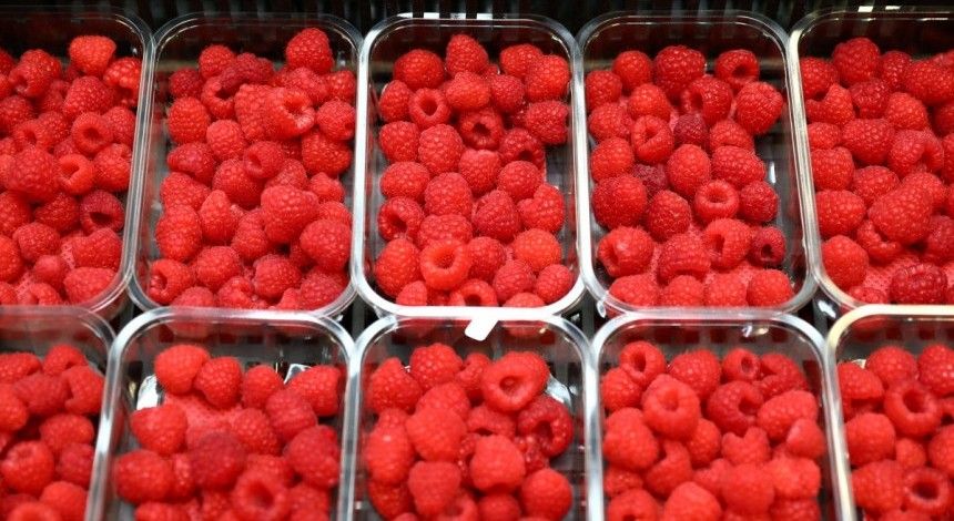 Малина: рецепти на зиму, користь і шкода ягід