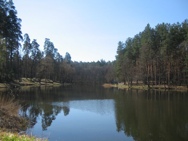 Пляж в Пуще-Водице открыли для купания / фото hmarochos Пляж в Пуще-Водице открыли для купания / фото hmarochos