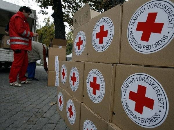Зловмисник підшукував постачальників гуманітарної допомоги з країн ЄС /фото: Strana.IN.UA Зловмисник підшукував постачальників гуманітарної допомоги з країн ЄС /фото: Strana.IN.UA