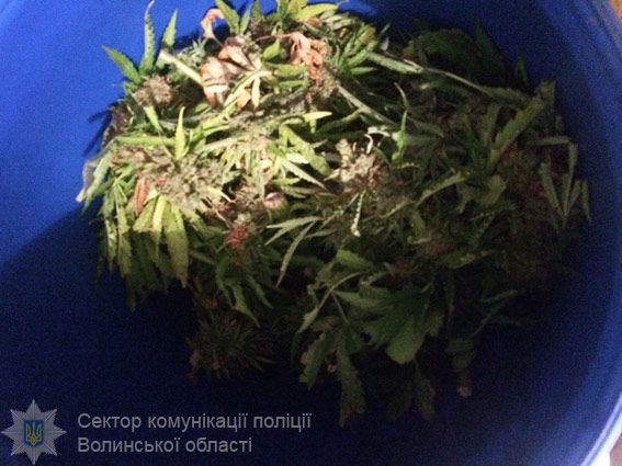 35-річний чоловік мав намір привезти та збути наркотики у Червонограді / фото npu.gov.ua 35-річний чоловік мав намір привезти та збути наркотики у Червонограді / фото npu.gov.ua
