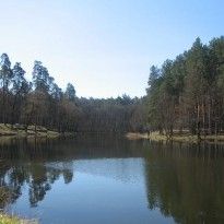 В Киеве разрешили купаться на двух пляжах