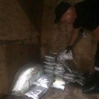При попытке выезда в Польшу пограничники задержали наркокурьера с 27 килограммами трамадола