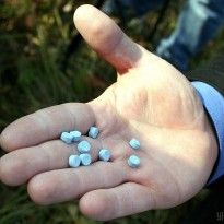В Одессе СБУ разоблачила канал контрабанды психотропов в Украину