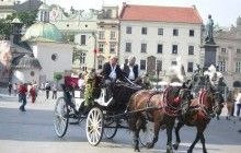 В Польше из-за жары конным экипажам запретили возить туристов