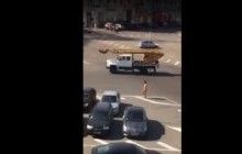 В Киеве на площади Победы разгуливала обнаженная женщина, на авто внимания не обращала (видео)