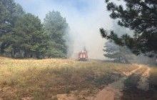 У Херсонській області горіло 7 га лісу