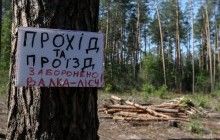 Экологи наглядно показали журналистам, как уничтожается "золотой" лес в Пуще-Водице (фоторепортаж)