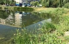 Активисты и коммунальщики расчистили озеро на Победе (фото)