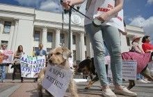 From Aug 4, animal abusers in Ukraine face jail