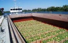 Знаменитая баржа с арбузами приближается к Киеву: уже в Переяслав-Хмельницком (видео)
