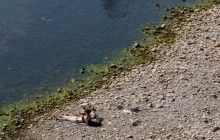 Аномально жаркая погода охватила Европу
