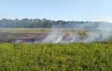 В Полтавской области за сутки произошло три природных пожара
