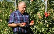 "Бучачагрохлібпром" планує розширити площу садів більш ніж на 50% до 1,1 тис. га