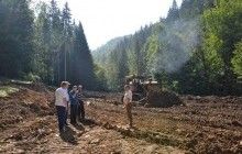 На Закарпатье создают центр реабилитации хищных птиц (фото)
