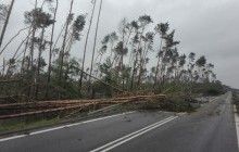 Ураганы в Польше унесли жизни 5 человек, около 30 ранены (фото)