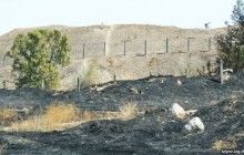 В Крыму на территории античного Пантикапея вспыхнул пожар (фото)