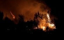 У Новій Зеландії через лісові пожежі евакуювали тисячі людей