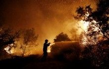 В Лос-Анджелесе введен режим ЧС из-за лесных пожаров