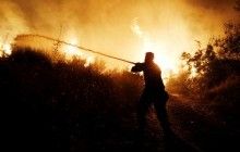 Київщина в огні: в області на третину зросла кількість пожеж в екосистемах