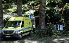 На Мадейре возросло количество погибших в результате падения дерева