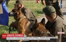 Проповзти непоміченим і подолати будь-яку перешкоду: на Львівщині провели змагання серед службових собак Нацгвардії (відео)